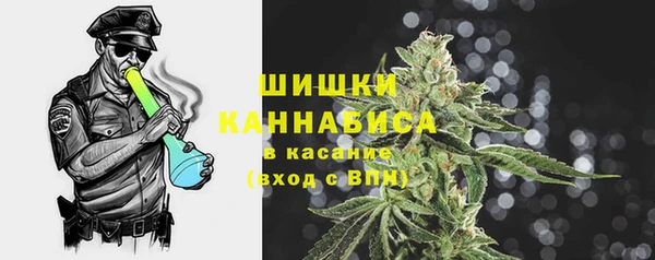 ГАЛЛЮЦИНОГЕННЫЕ ГРИБЫ Вязьма