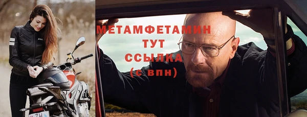 гидра Горняк