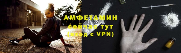 амф Вяземский