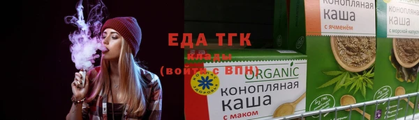 гидра Горняк