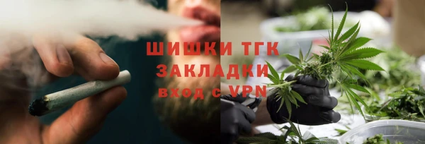 амф Вяземский