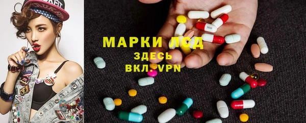 амф Вяземский