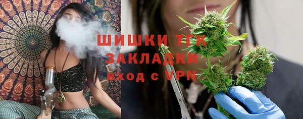 ГАЛЛЮЦИНОГЕННЫЕ ГРИБЫ Вязьма