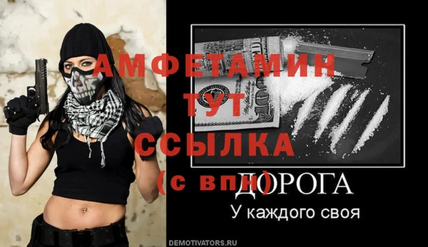 амф Вяземский