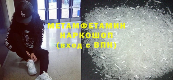 гидра Горняк