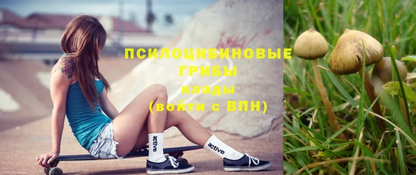 спиды Вязники