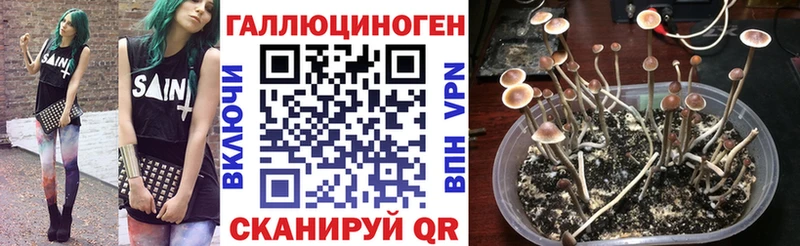 Галлюциногенные грибы GOLDEN TEACHER  Заинск 